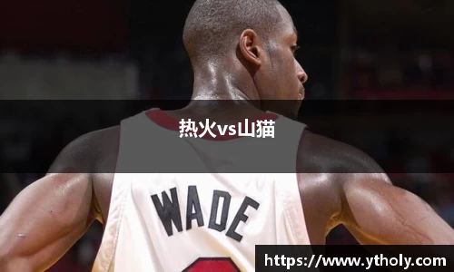 热火vs山猫