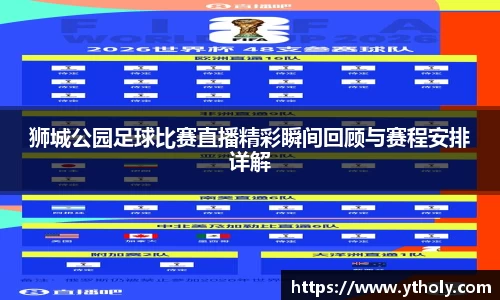 狮城公园足球比赛直播精彩瞬间回顾与赛程安排详解