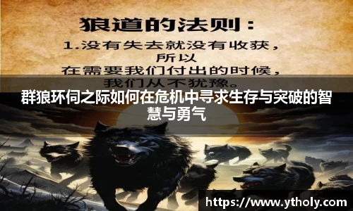 群狼环伺之际如何在危机中寻求生存与突破的智慧与勇气